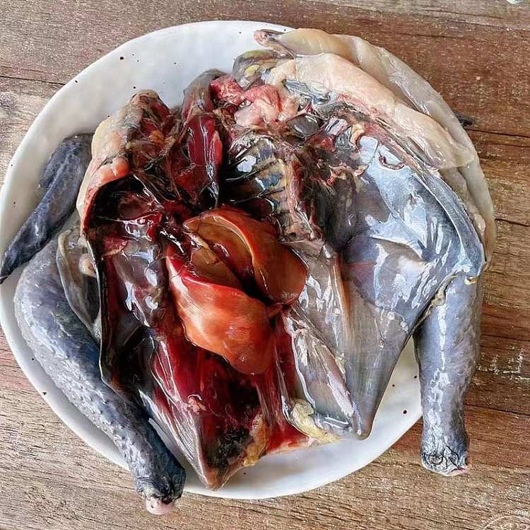 frozenchicken-woman-black-phoenix-chicken-650g-2