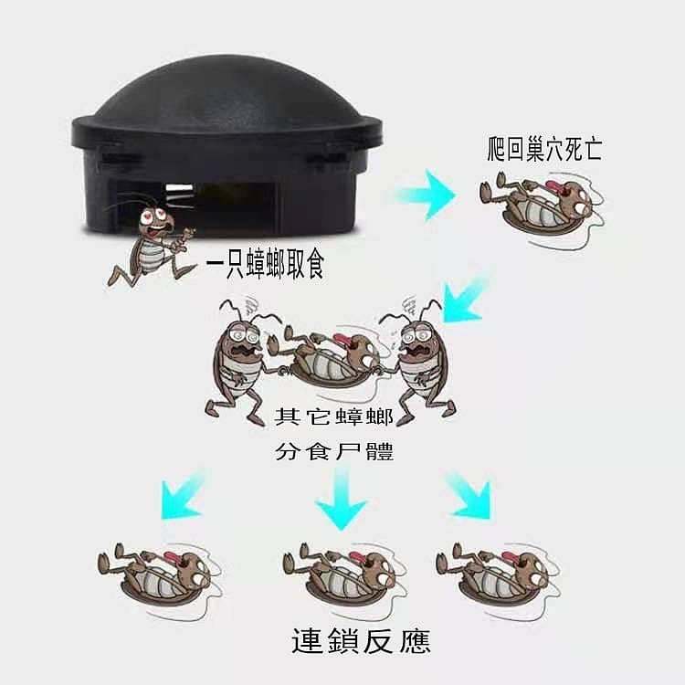 earth-corporation-cockroach-house-12-pieces-24g-4