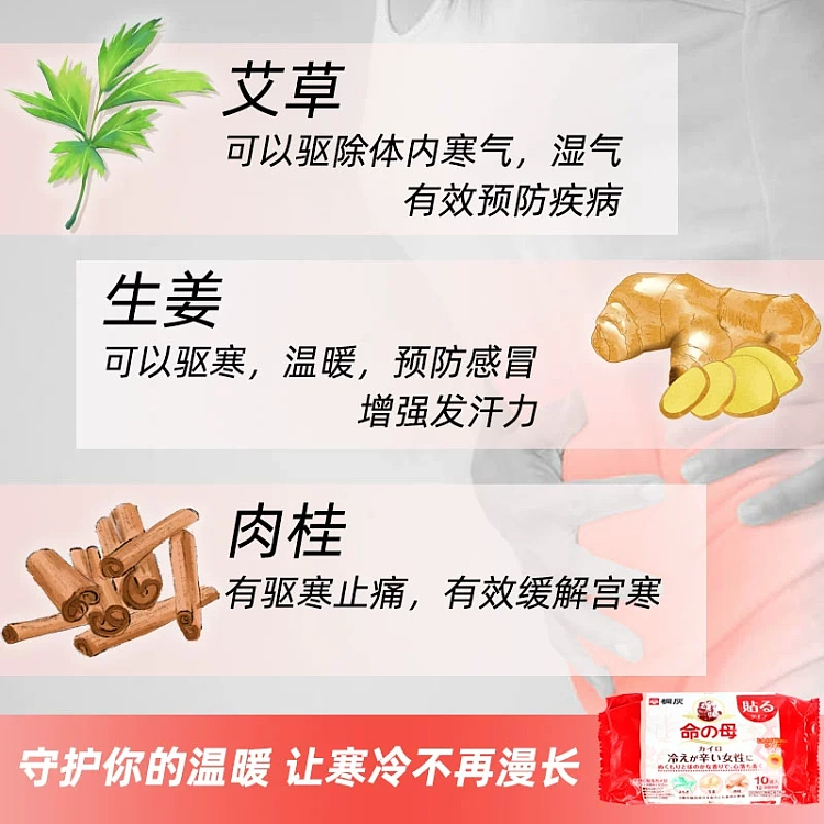 kobayashi-pharmaceutical-co-ltd-tongqing-mother-of-life-warm-baby-for-menstrual-period-10-packs-2