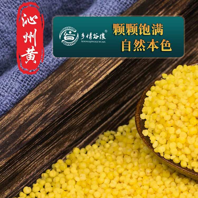 mountain-valley-grain-qinzhou-yellow-millet-500g-4