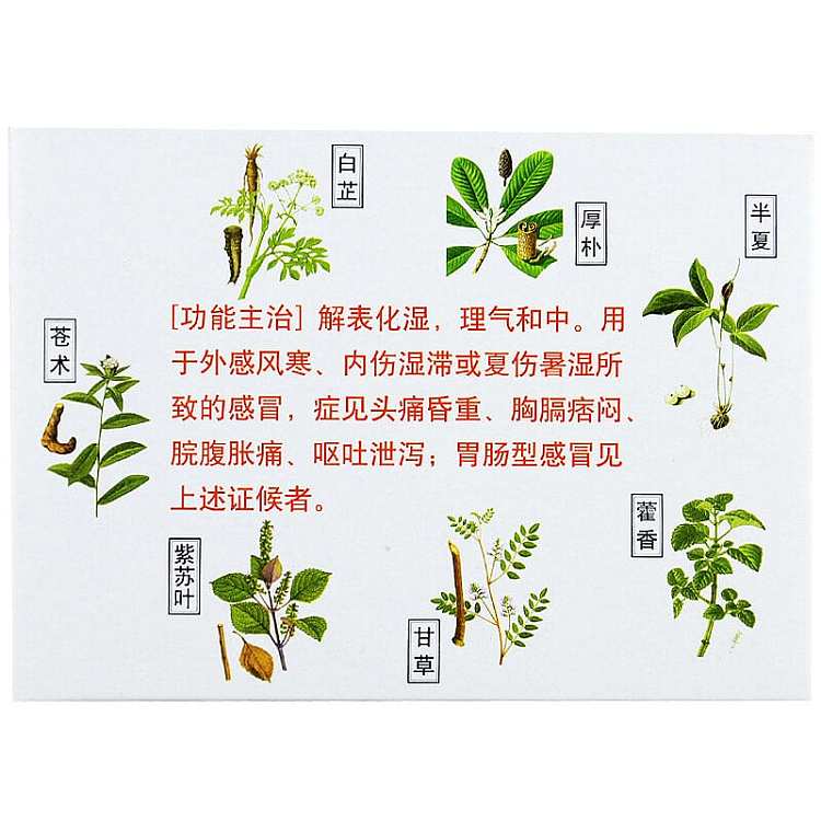 taiji-huo-xiang-zheng-qi-oral-liquid-10ml5pcs-50ml-4