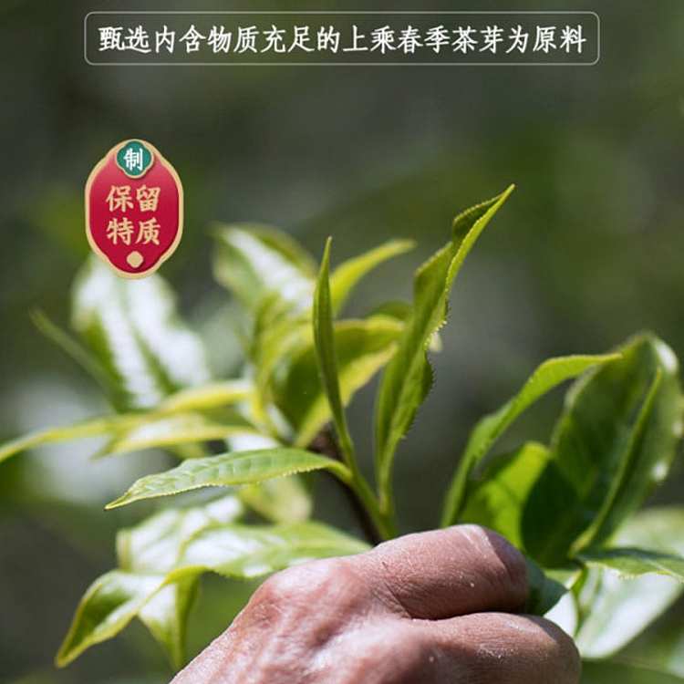 tea-sharing--rongs-2021-yun-bai-tea-100g-5