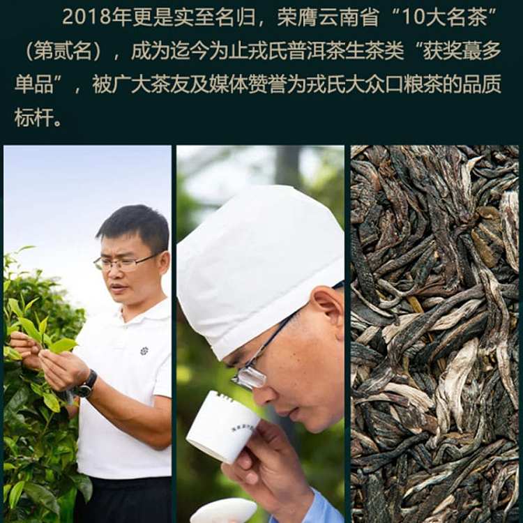 gift-boxrongs-original-flavor-raw-puerh-tea-compacted-tea-dacheng-easy-brew-8g20-pieces-160g-2