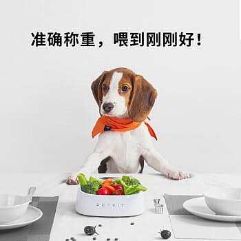 petkit-small-pei-intelligent-weighing-bowl-dog-and-cat-food-bowl-colorful-pompoms-2