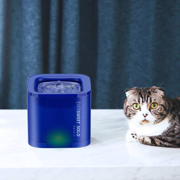 petkit-xiao-pei-solo-water-dispenser-blue-2