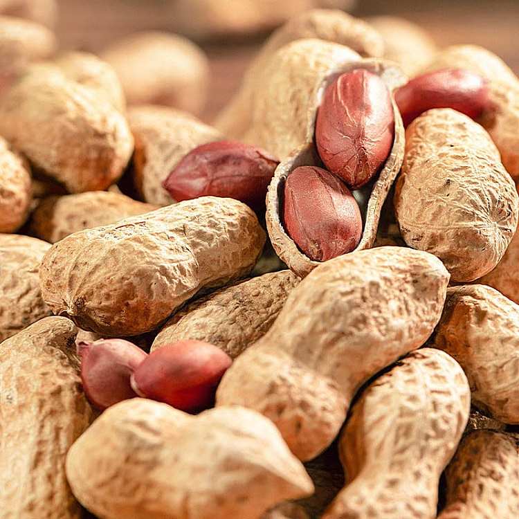 carrie-is-small-seeds-peanut-pecan-flavor-170g-2