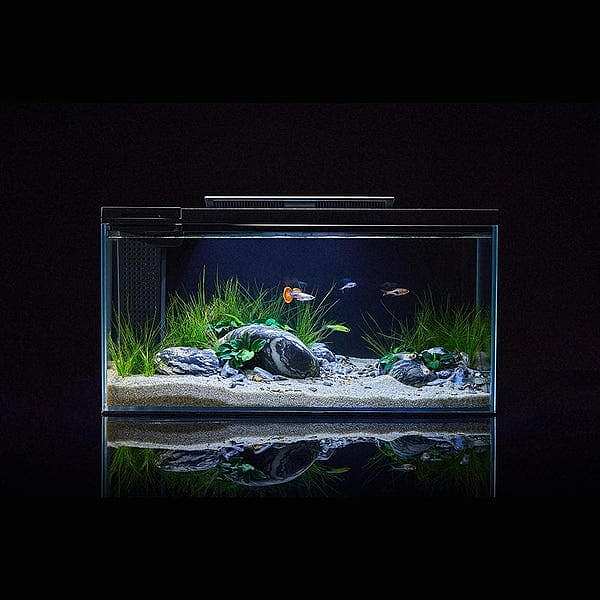 petkit-small-pei-origin-era-smart-fish-tank-1
