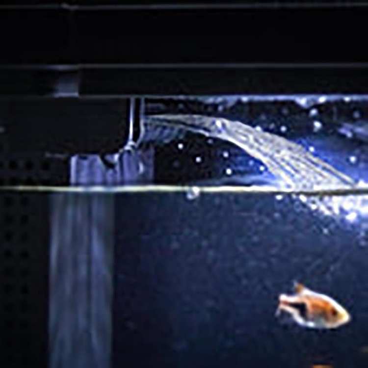 petkit-small-pei-origin-era-smart-fish-tank-2