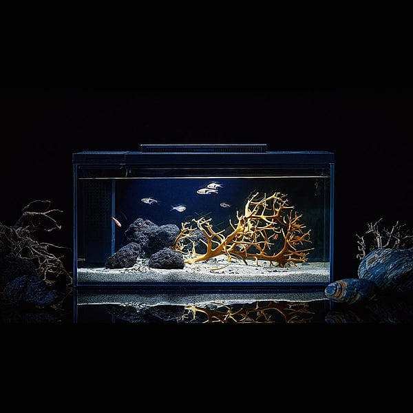 petkit-small-pei-origin-era-smart-fish-tank-3
