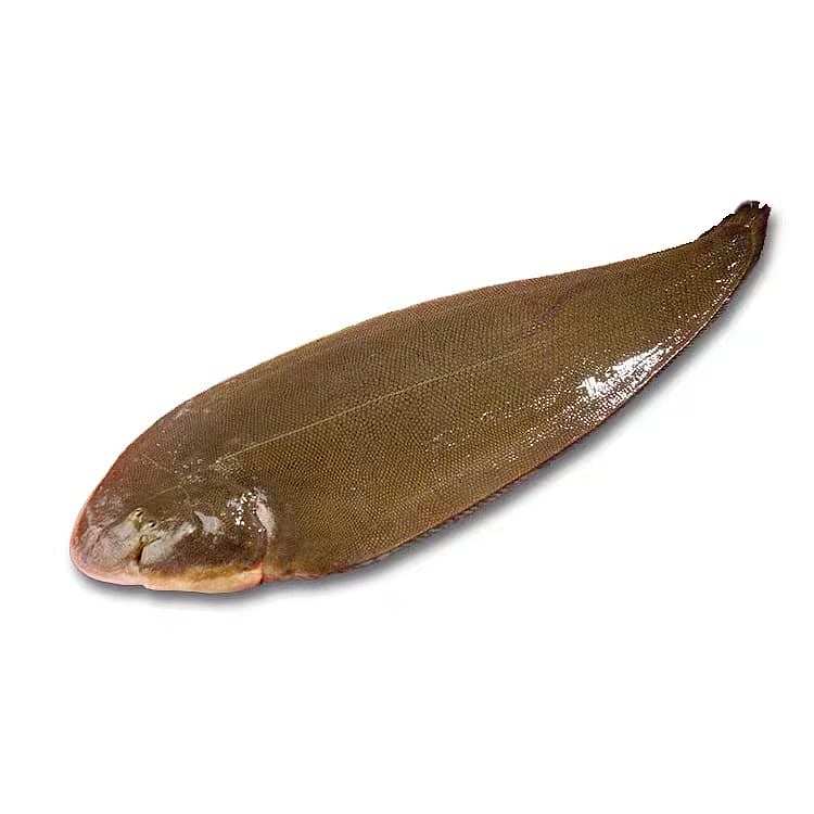 fresh-chengji-fresh-deep-sea-amberjack-about-450-500g-1