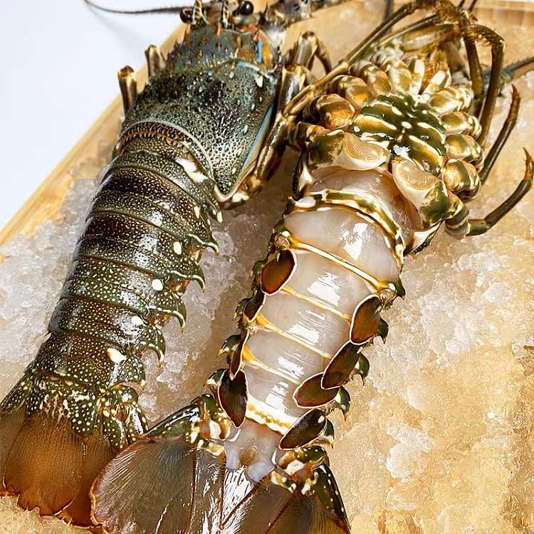 frozencheng-kee-frozen-queensland-fairview-flower-lobster-flower-dragon-a-about-800-900g-1