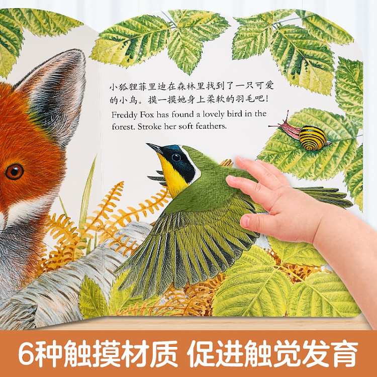 fun-childrens-picture-book-billy-rabbit-0-3-years-2