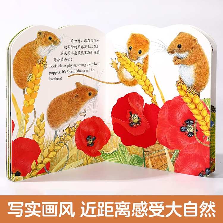fun-childrens-picture-book-billy-rabbit-0-3-years-3