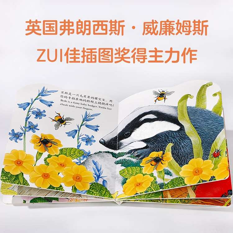 fun-childrens-picture-book-billy-rabbit-0-3-years-4