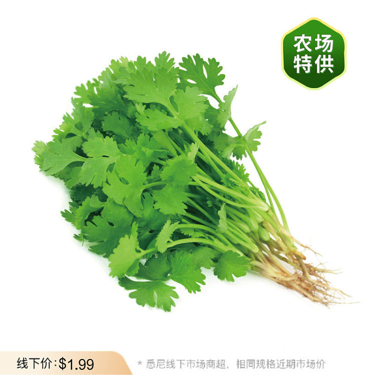 freshcilantro-1-bundle-1