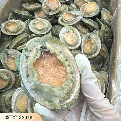 【冻】南澳青边鲍鱼 14头 约1kg