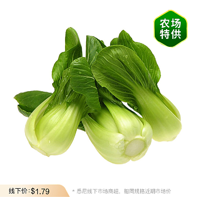 【农场直供】原生态上海白 Baby Bok Choy 1捆