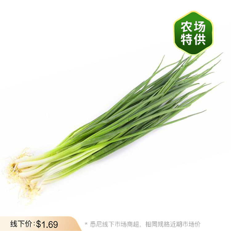 fresh-scallions-medium-size-1-bundle-1
