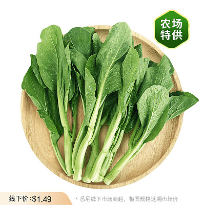 【农场直供】广东菜心 Hong Kong Choy 1捆