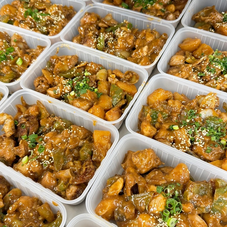 sauce-flavored-large-plate-chicken-1